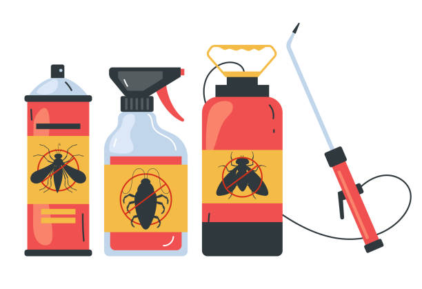 Best Ant Control Services  in Cutten, CA